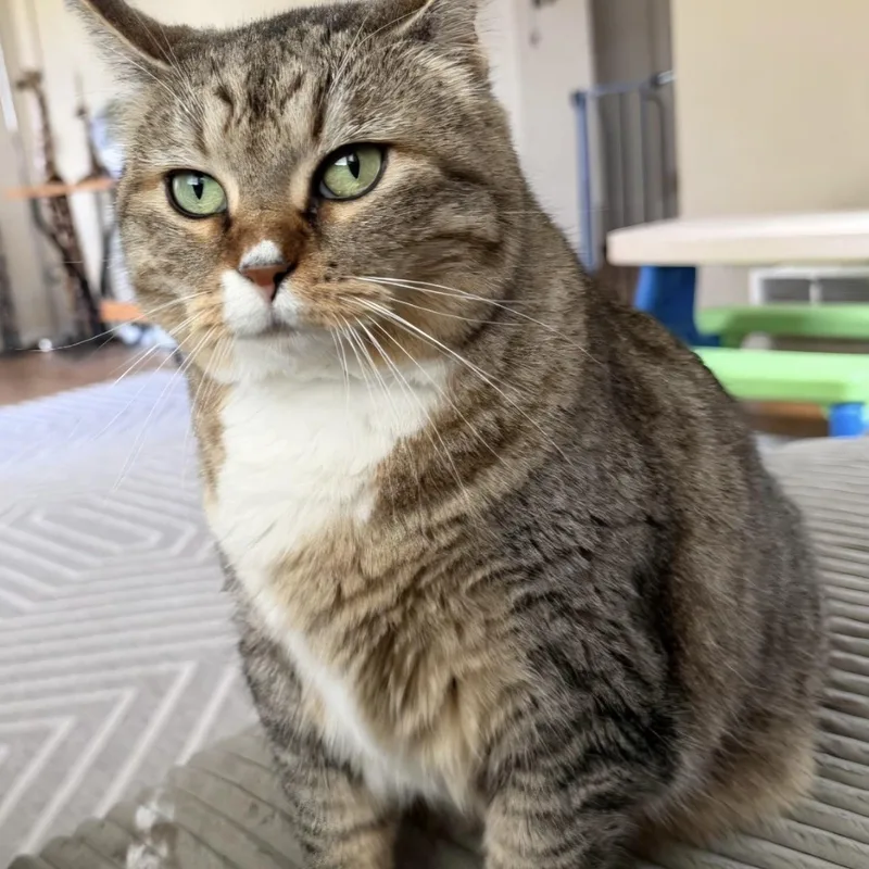 Big Bertha thumbnail 2