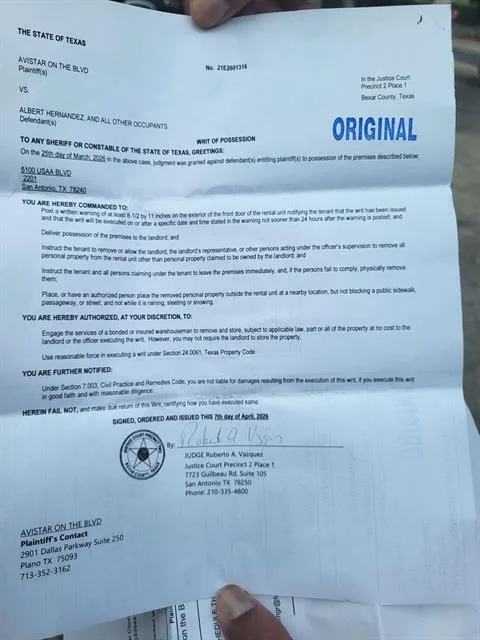 A young medium-sized female American Staffordshire Terrier dog named Trixie for adoption in San Antonio, TX