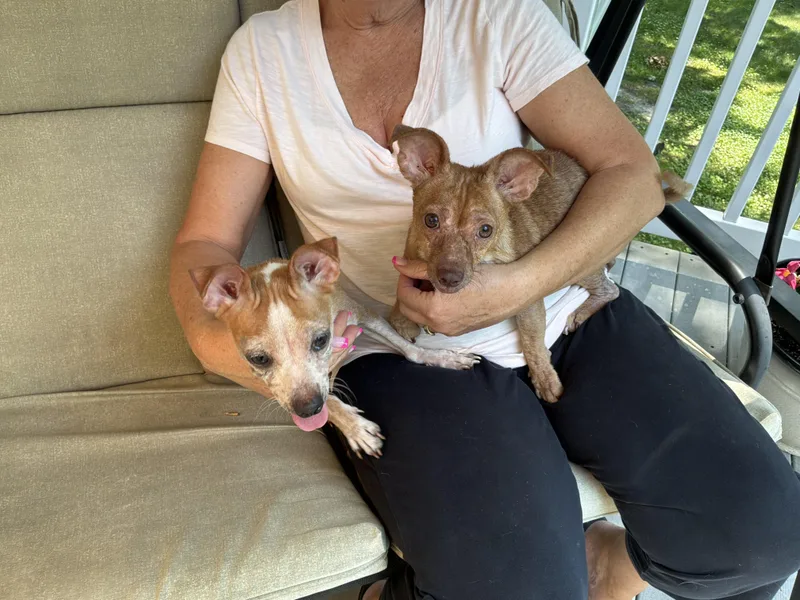 Mimi and Fifi