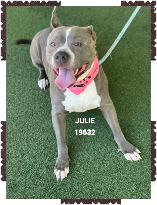 Julie thumbnail 2
