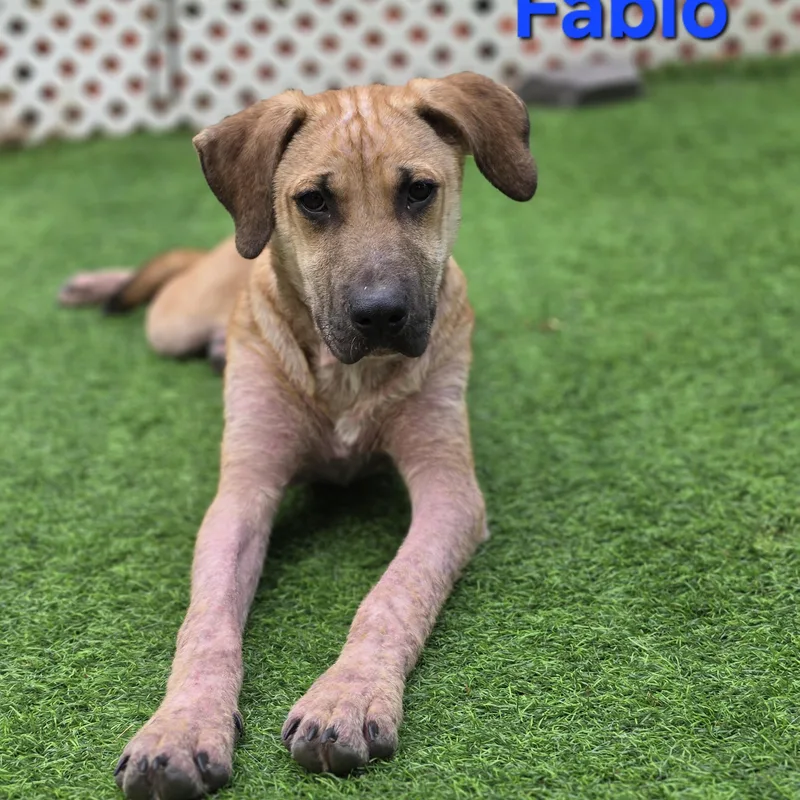 Fabio thumbnail 5