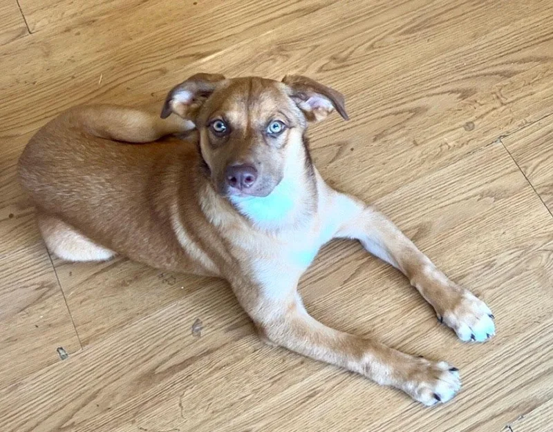 Ruby Mae