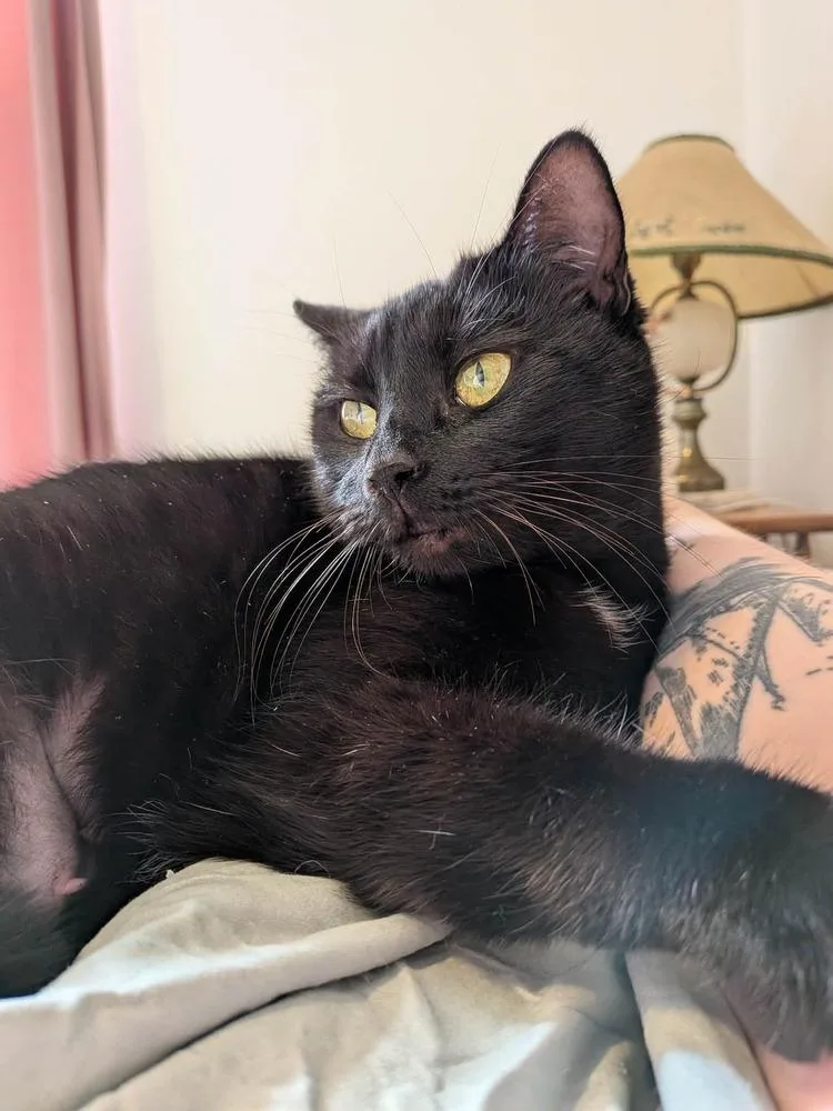 Muffy Mc thumbnail 2