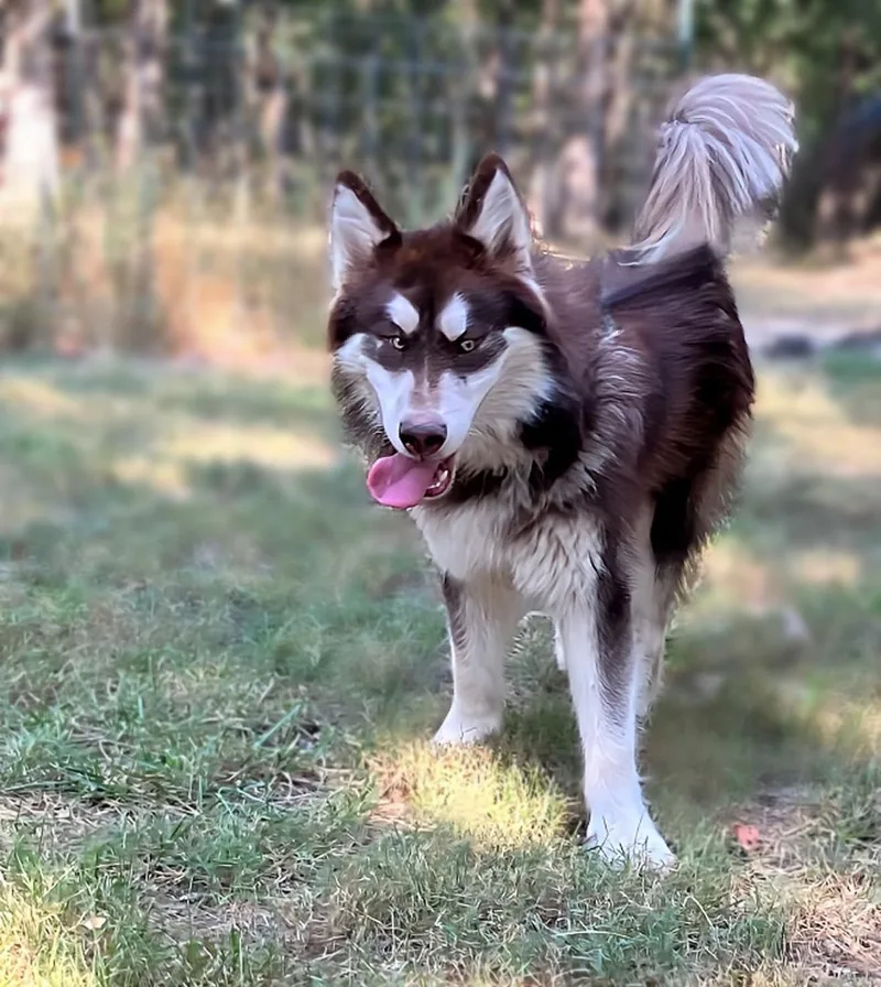 Santaquin thumbnail 2