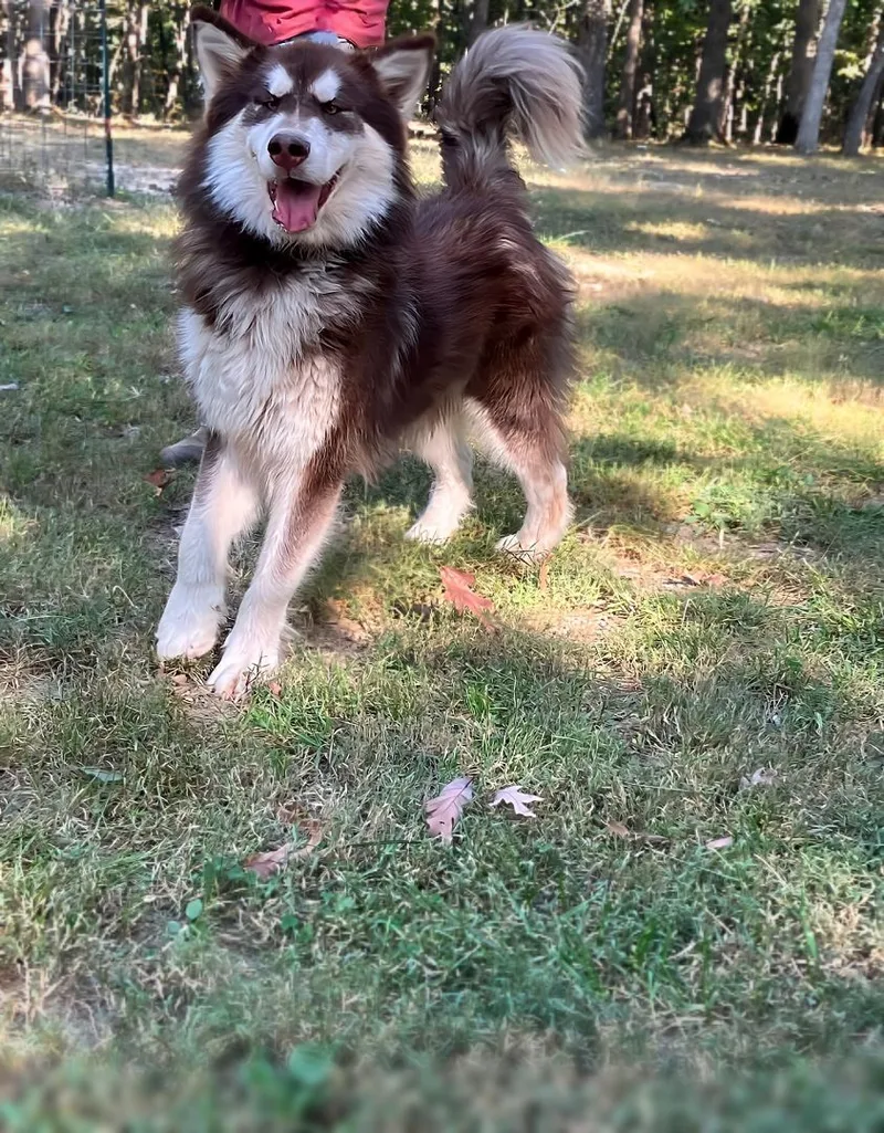 Santaquin thumbnail 3