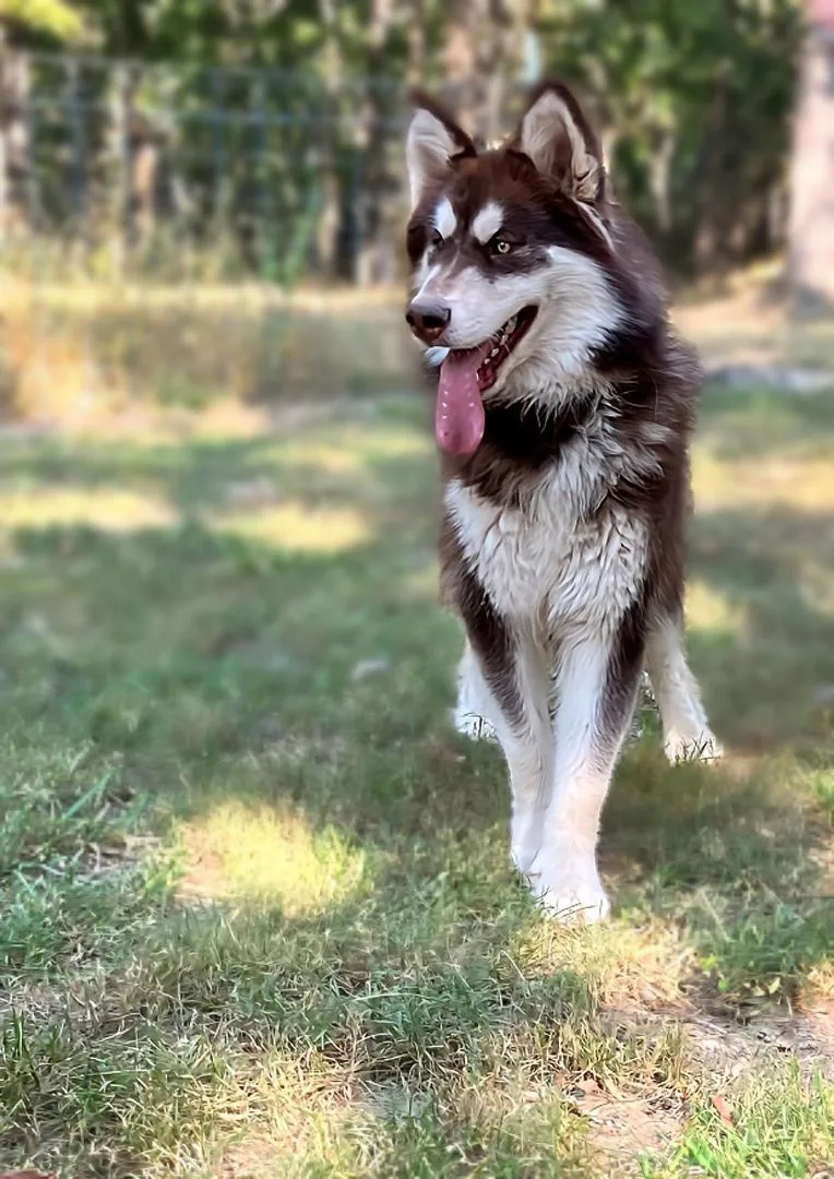 Santaquin thumbnail 4