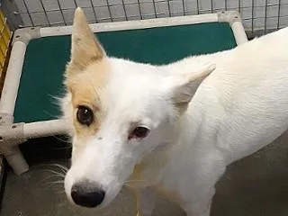 Heidi's Jesse James thumbnail 2