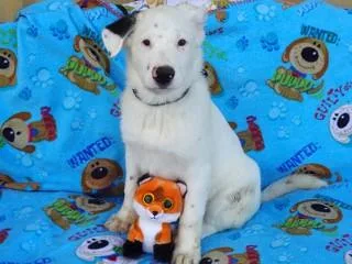 Heidi's Jesse James thumbnail 3