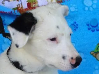 Heidi's Jesse James thumbnail 5