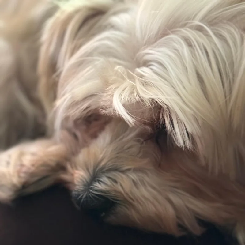 Beverly thumbnail 3