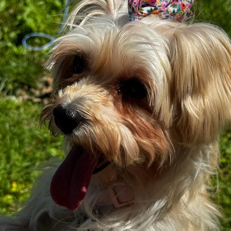Beverly thumbnail 5