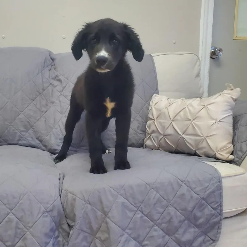 Tasha thumbnail 3