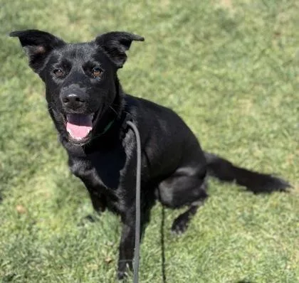 Coco