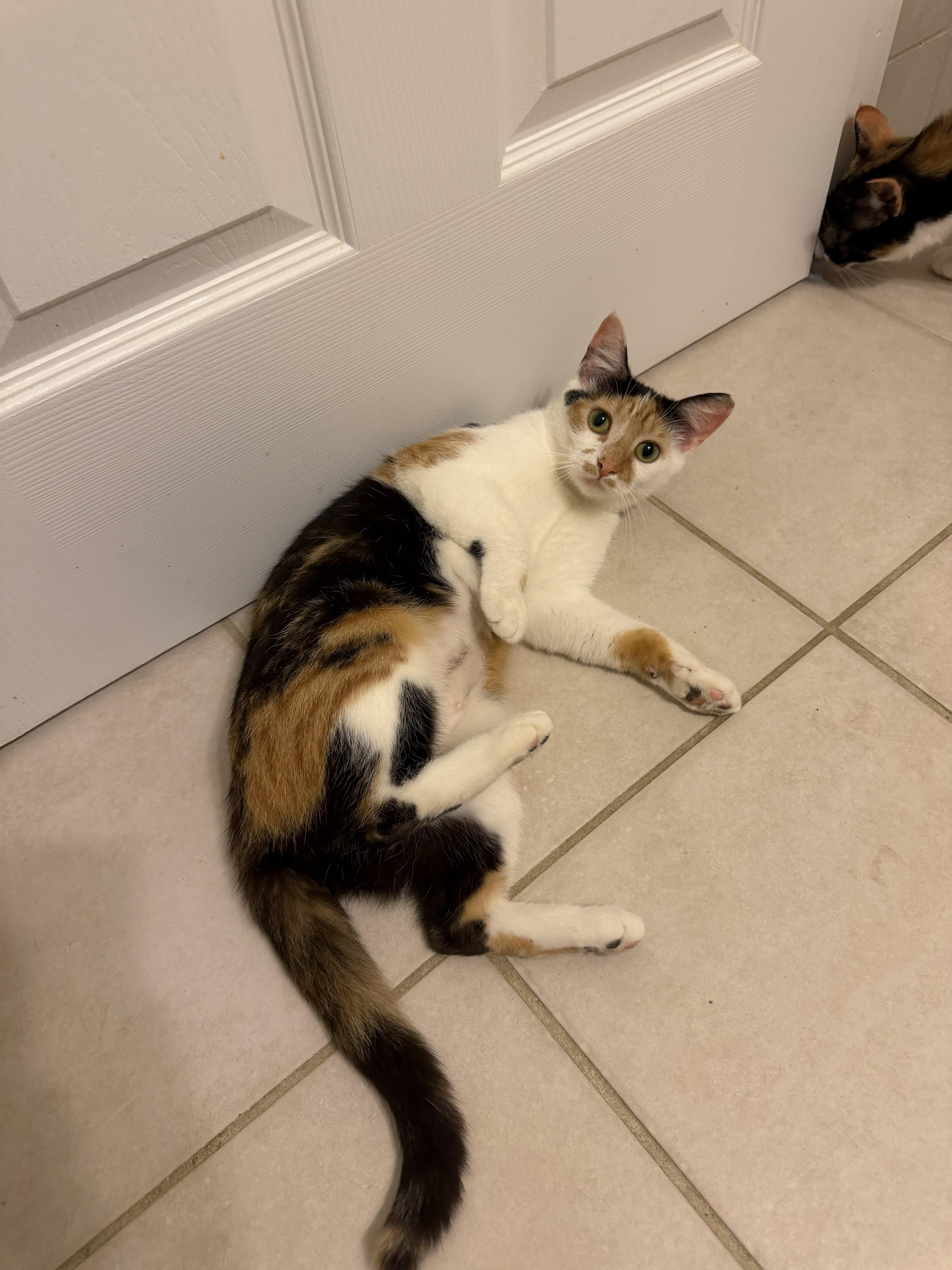 Buttons&sunshine thumbnail 2