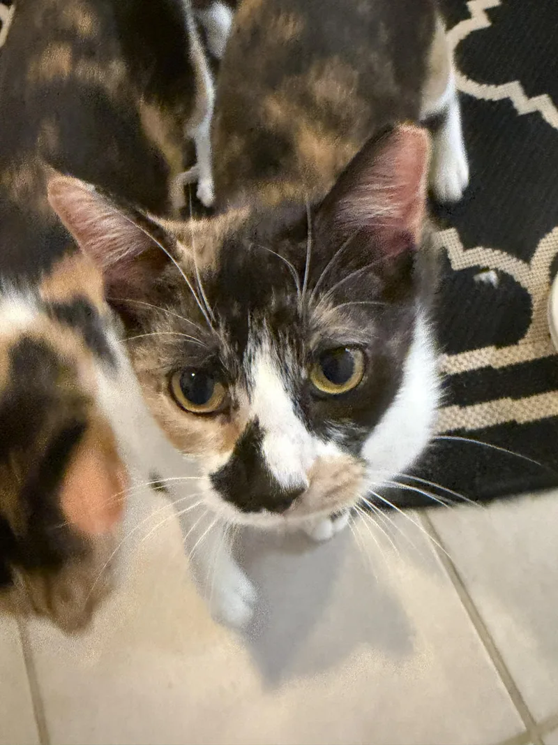 Buttons&sunshine thumbnail 3