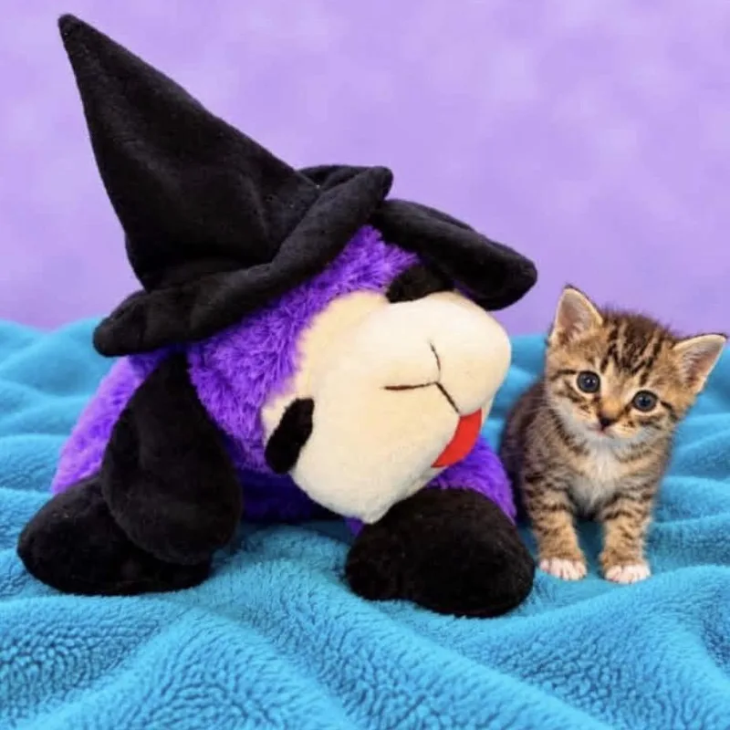 Tabitha thumbnail 3