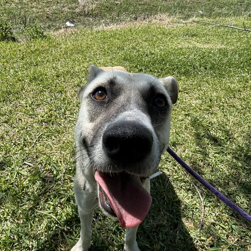 Julienne thumbnail 2