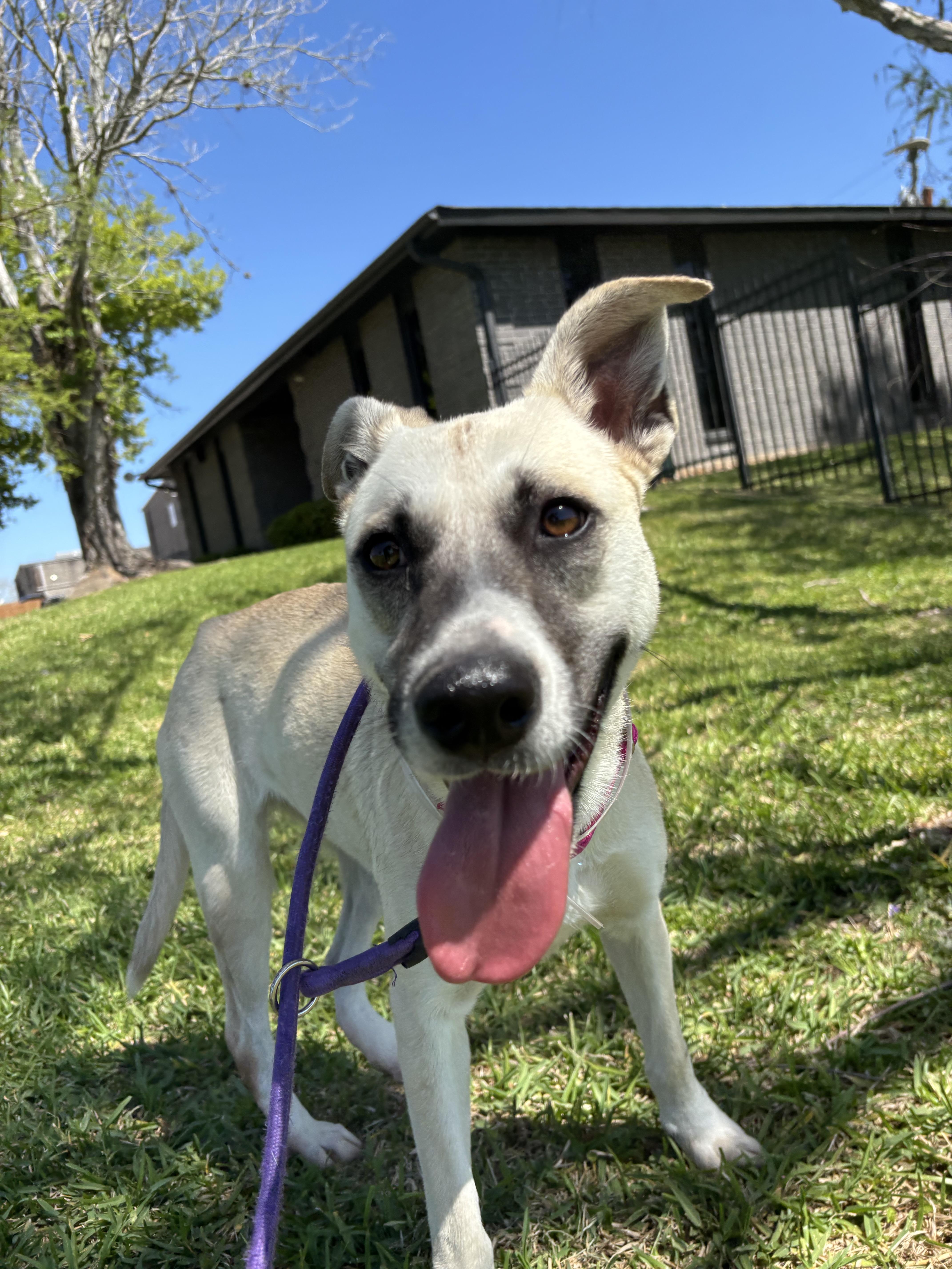 Julienne thumbnail 4