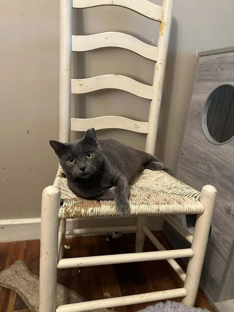 Carolina thumbnail 2