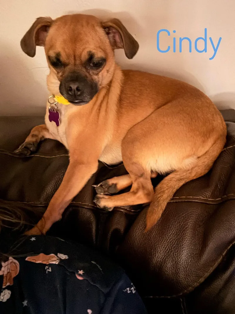 Cindy