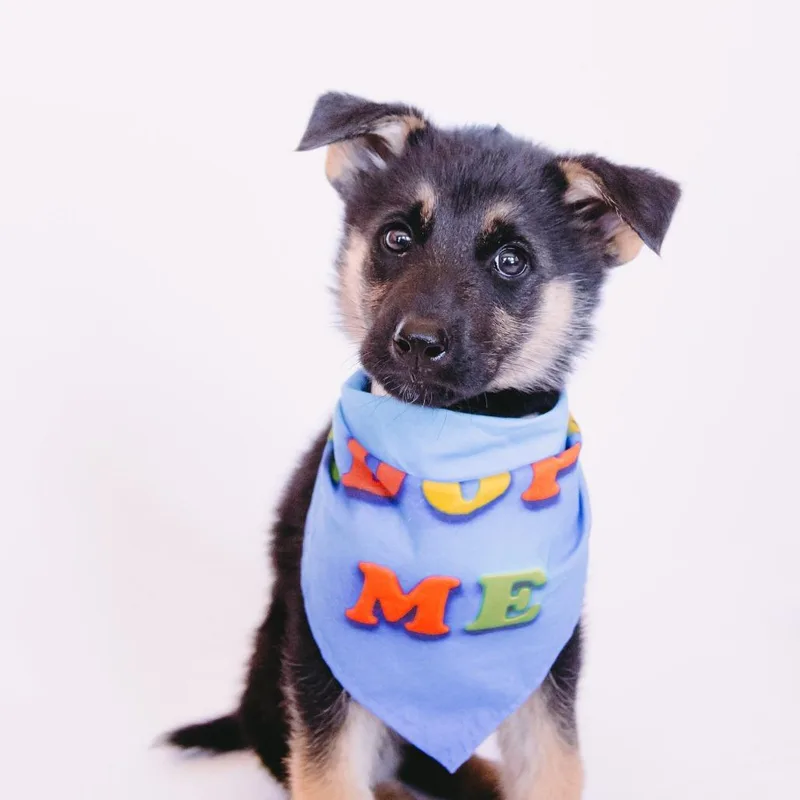 Kong D Arriving thumbnail 3