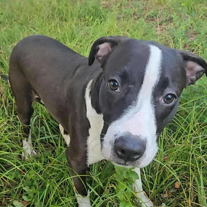 Tallulah thumbnail 5