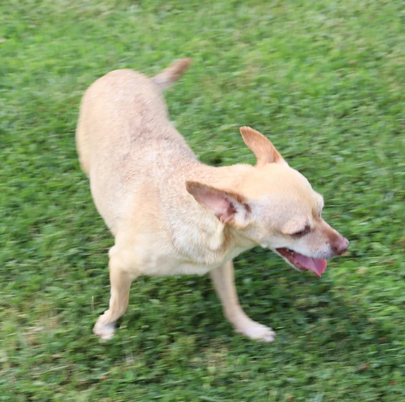 Shirley thumbnail 4