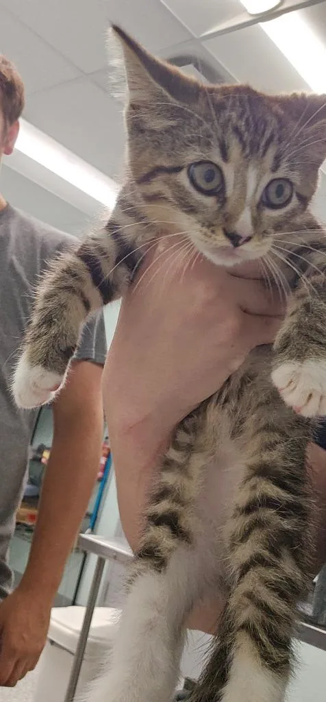 Eloise