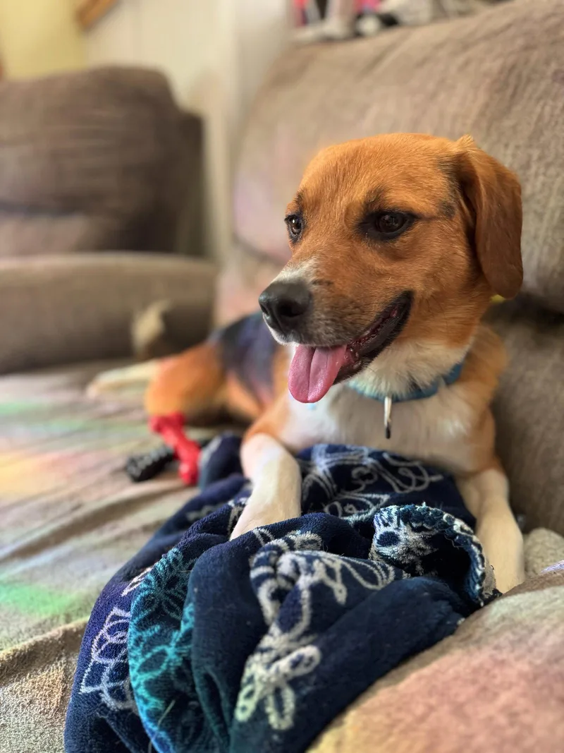 Louis Bea thumbnail 2