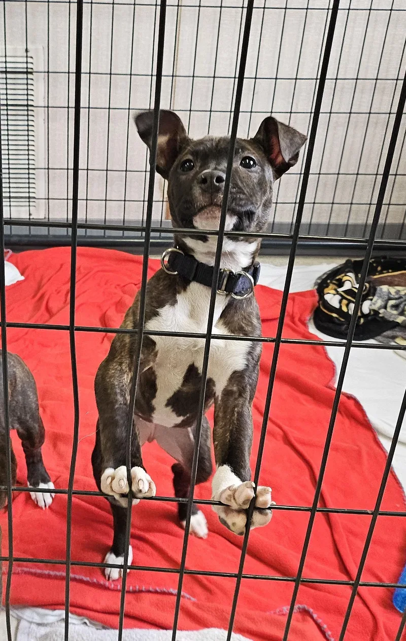 Wednesday thumbnail 2