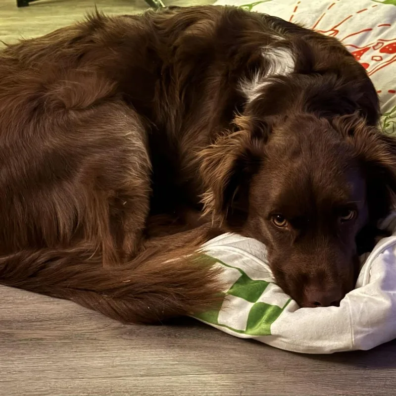 Milkyway Aka Zeke Cs thumbnail 2