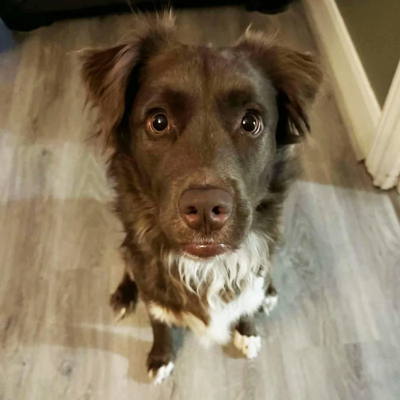 Milkyway Aka Zeke Cs thumbnail 3