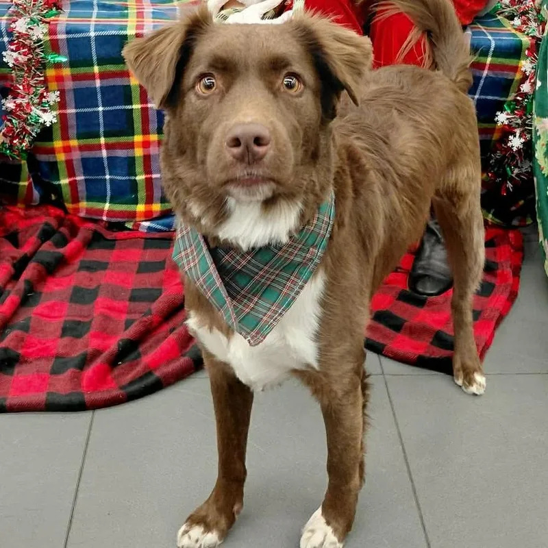 Milkyway Aka Zeke Cs