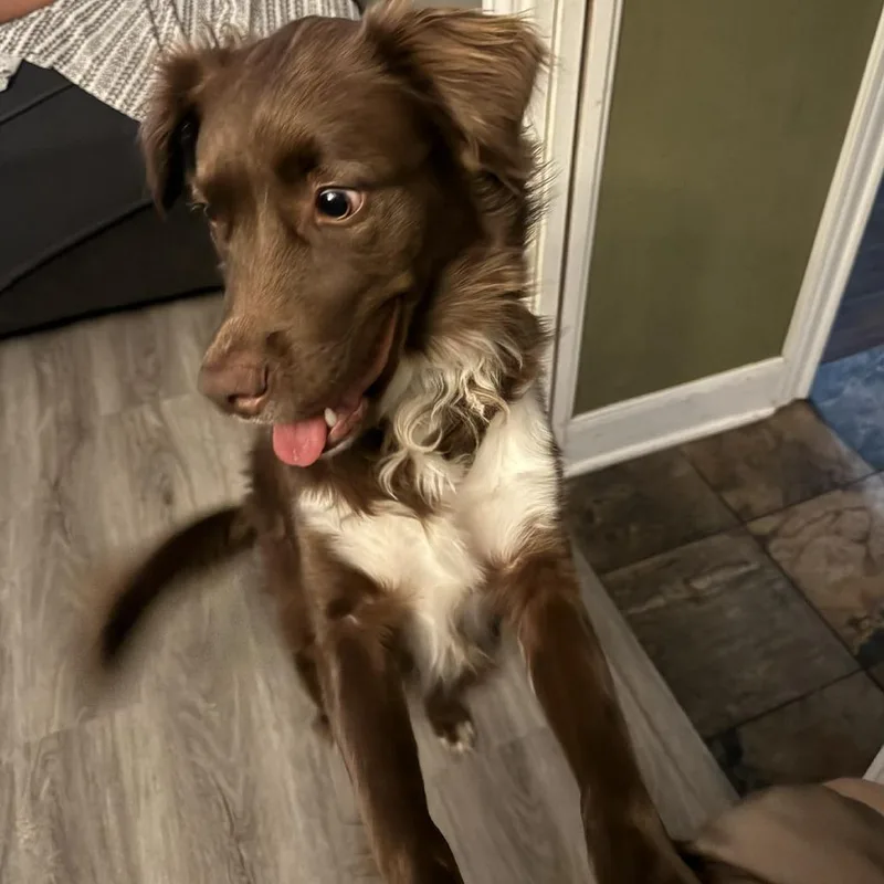 Milkyway Aka Zeke Cs thumbnail 5