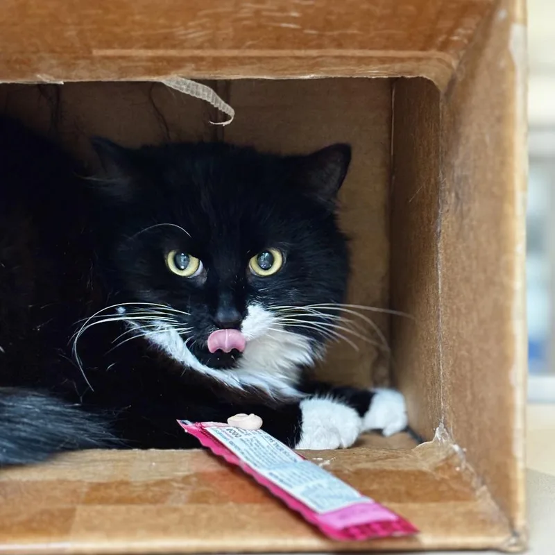 Tux