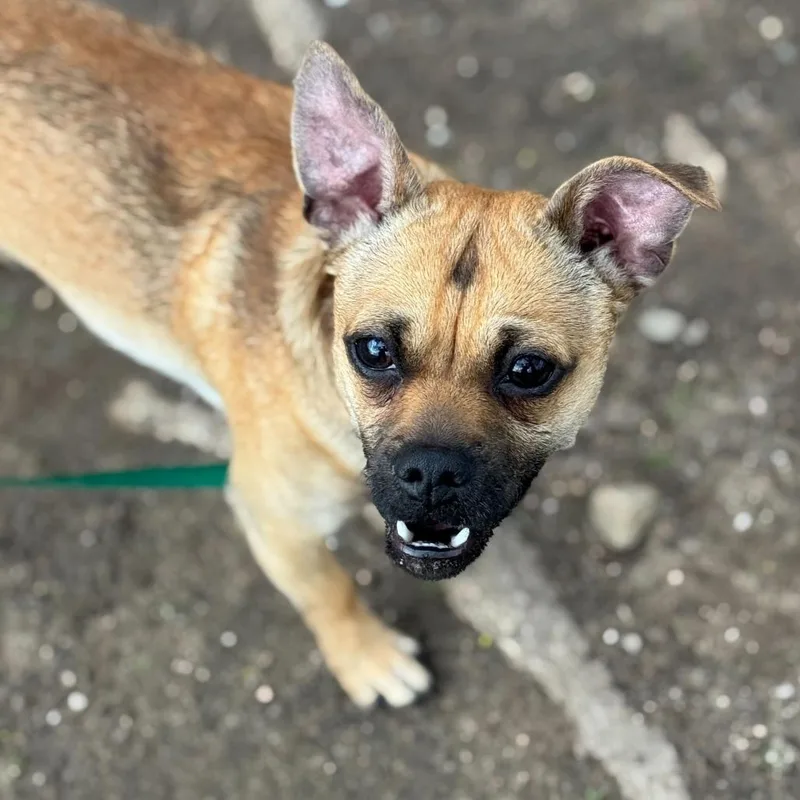 Chico % Off thumbnail 2