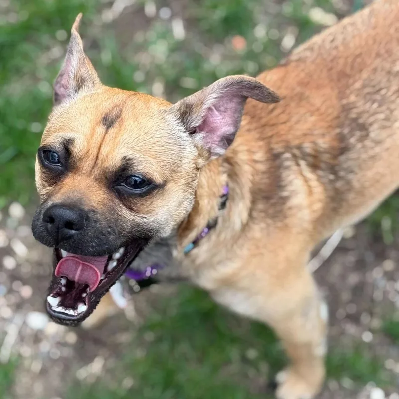 Chico % Off thumbnail 4