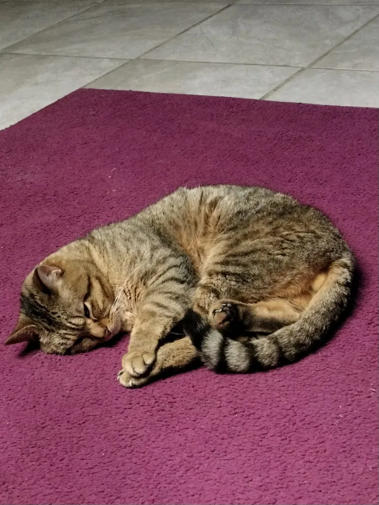 Reggie And Reece thumbnail 2