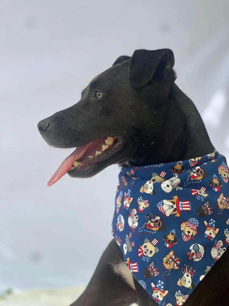 Left Eye thumbnail 2