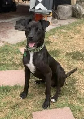 Left Eye thumbnail 3