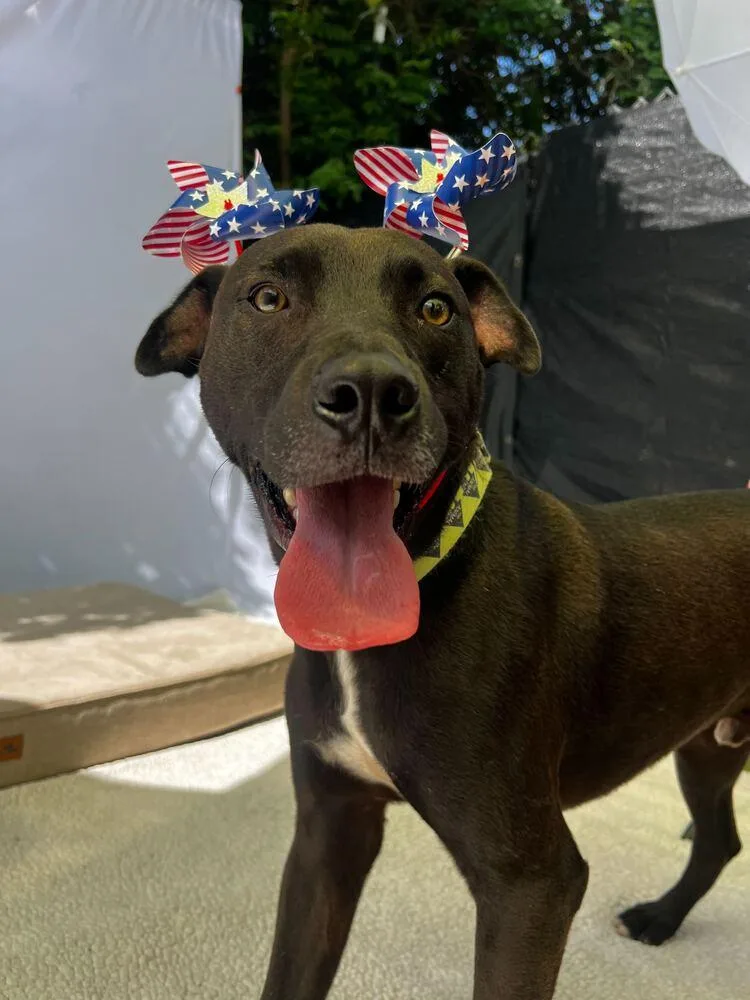 Left Eye thumbnail 4