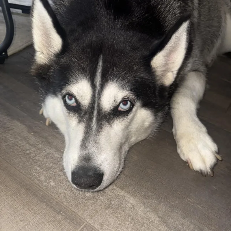 Lucy Lou thumbnail 2