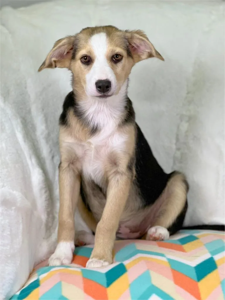 Cleaning Crew Litter  thumbnail 3