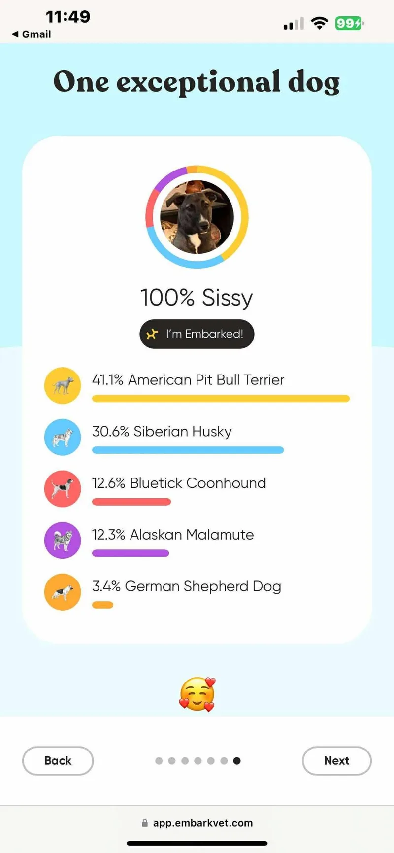 An adult medium-sized female Husky dog named Sissy CL for adoption in Louisburg, KS