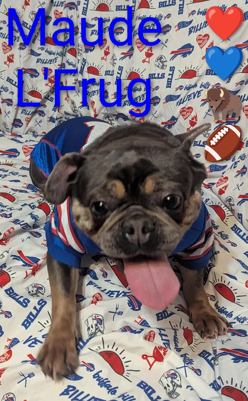 Maude L' Frug