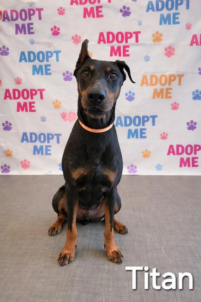 Titan Yrly thumbnail 2