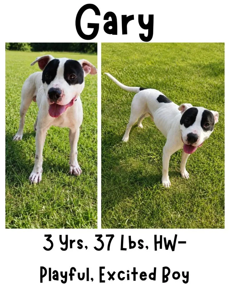 Gary