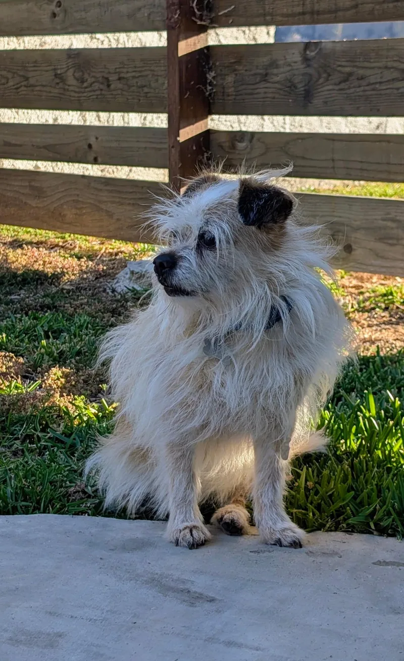 Chiquita