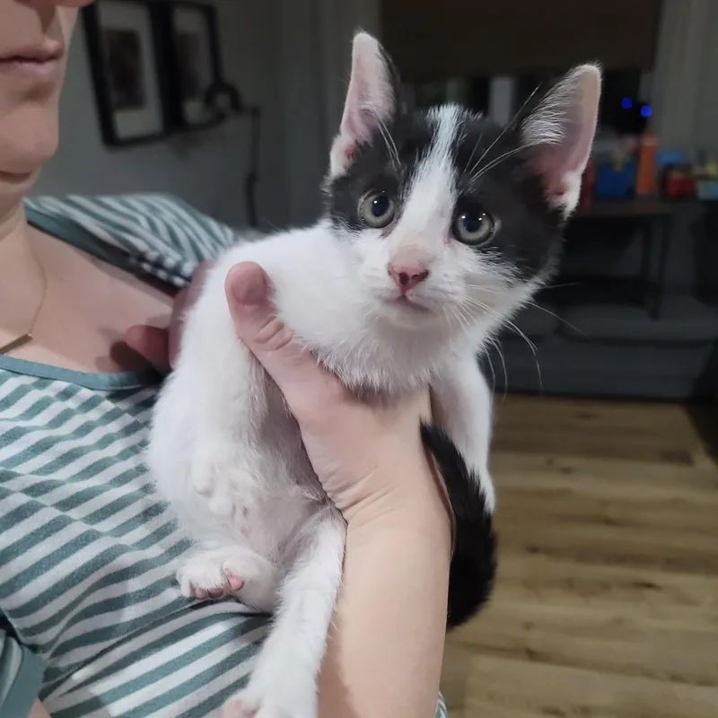 Ginny thumbnail 4