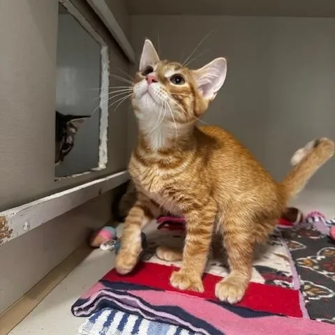 Laxus and Gray thumbnail 2